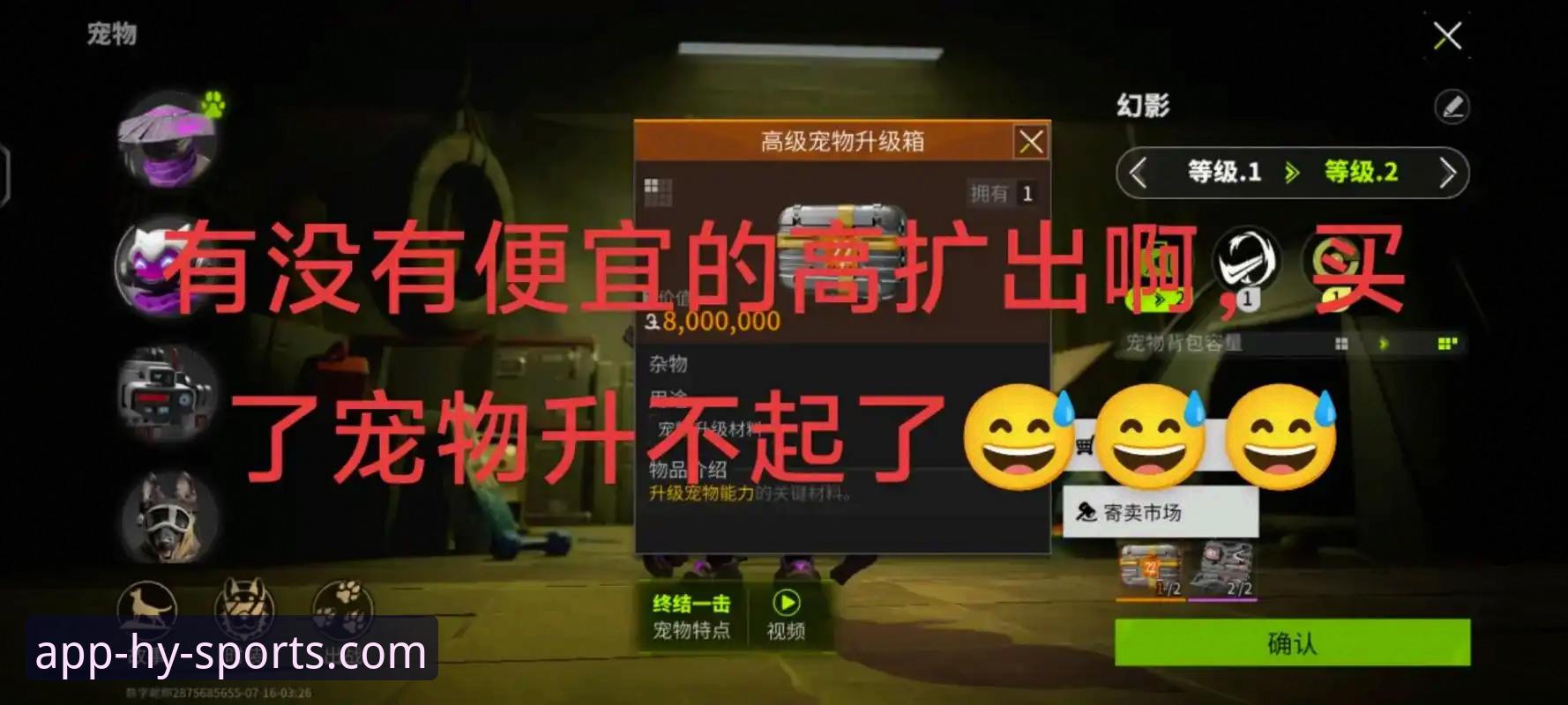 幻影体育App更新使用指南：从下载到精通，老用户带你玩转新版本